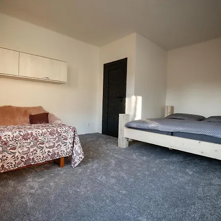 Devade Se Dvema Loznicemi A Wifi Pripojenim Apartment