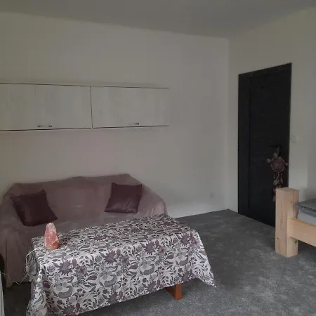 Devade Se Dvema Loznicemi A Wifi Pripojenim Apartment Trutnov