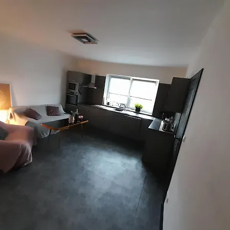 Devade Se Dvema Loznicemi A Wifi Pripojenim Apartment *