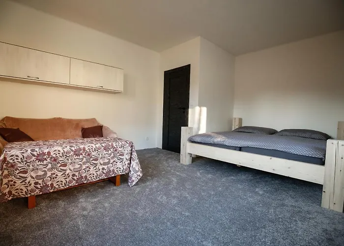 Devade Se Dvema Loznicemi A Wifi Pripojenim Apartament